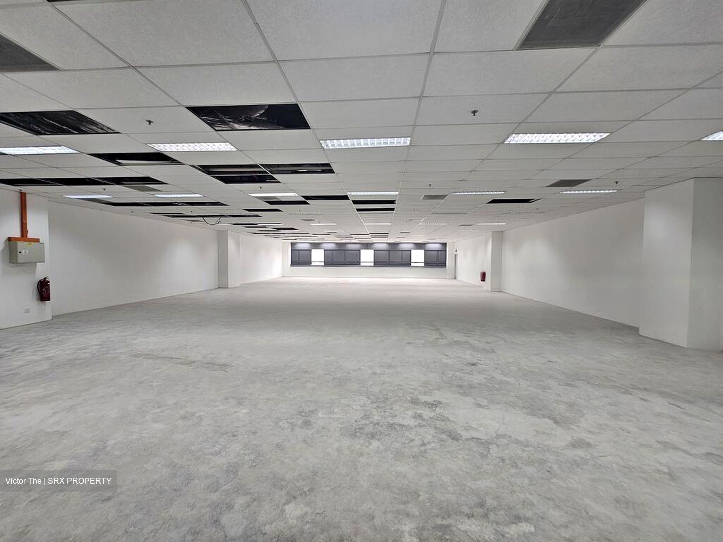 Techpoint (D20), Factory #455014341